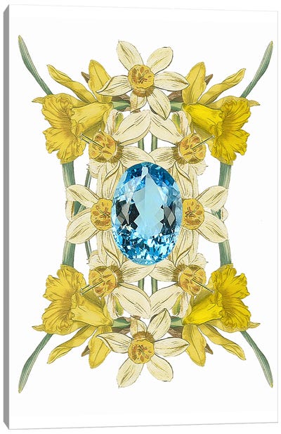 Flowers And Stones - March Canvas Art Print - Daffodil Art