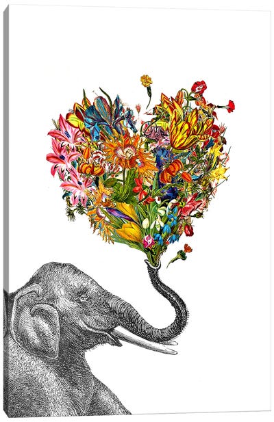 Happy Elephant Canvas Art Print - RococcoLA