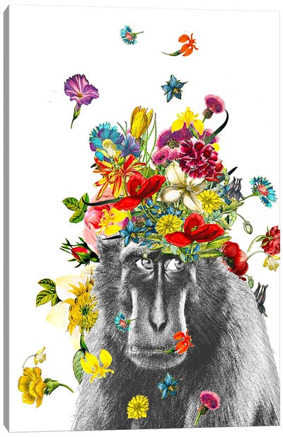 Happy Gorrilla Canvas Art Print - Embellished Animals