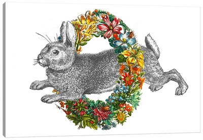 Happy Rabbit Canvas Art Print - Easter Art