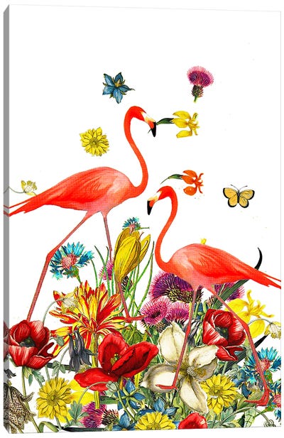 Two Flamingos Canvas Art Print - Flamingo Art