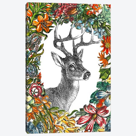 O, Deer Canvas Print #RLA37} by RococcoLA Canvas Artwork