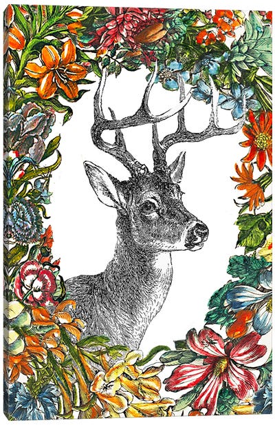 O, Deer Canvas Art Print - RococcoLA