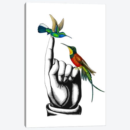 Hummingbirds On My Fingers Canvas Print #RLA40} by RococcoLA Canvas Artwork