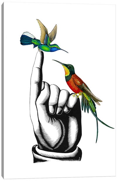 Hummingbirds On My Fingers Canvas Art Print - RococcoLA