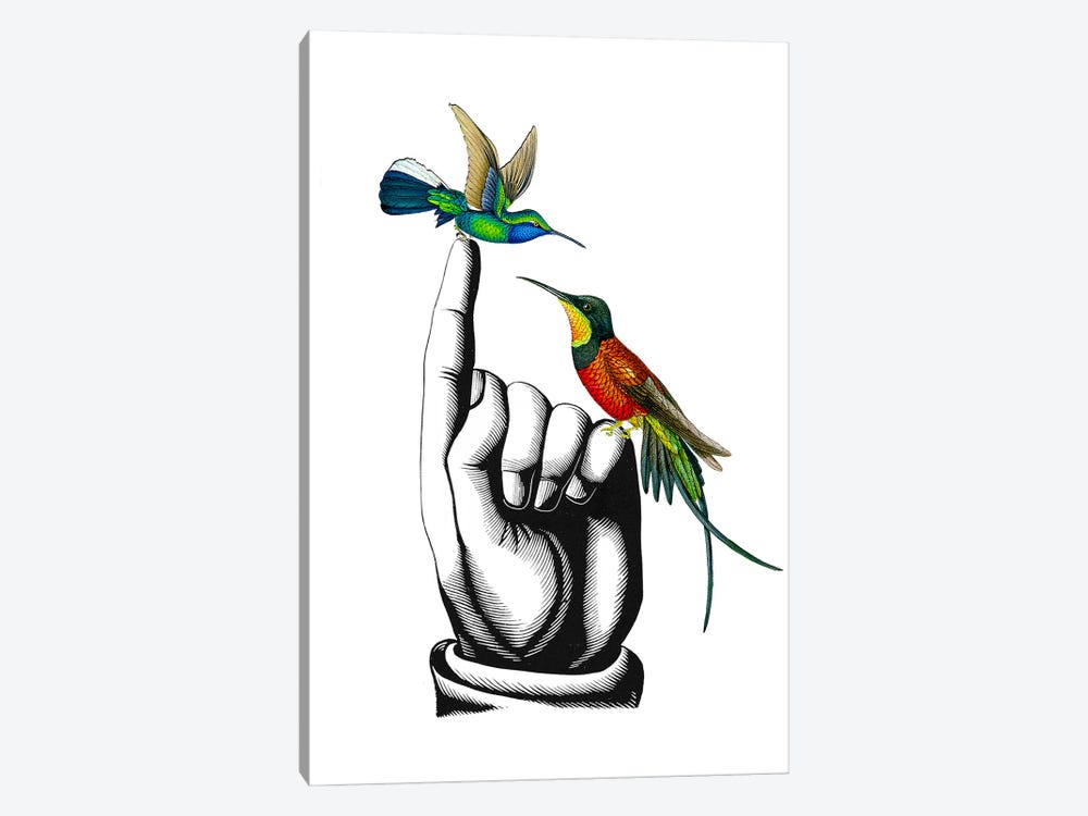 Hummingbirds On My Fingers by RococcoLA 1-piece Canvas Print
