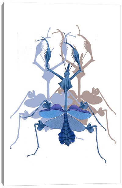 Insect In Blue Canvas Art Print - RococcoLA