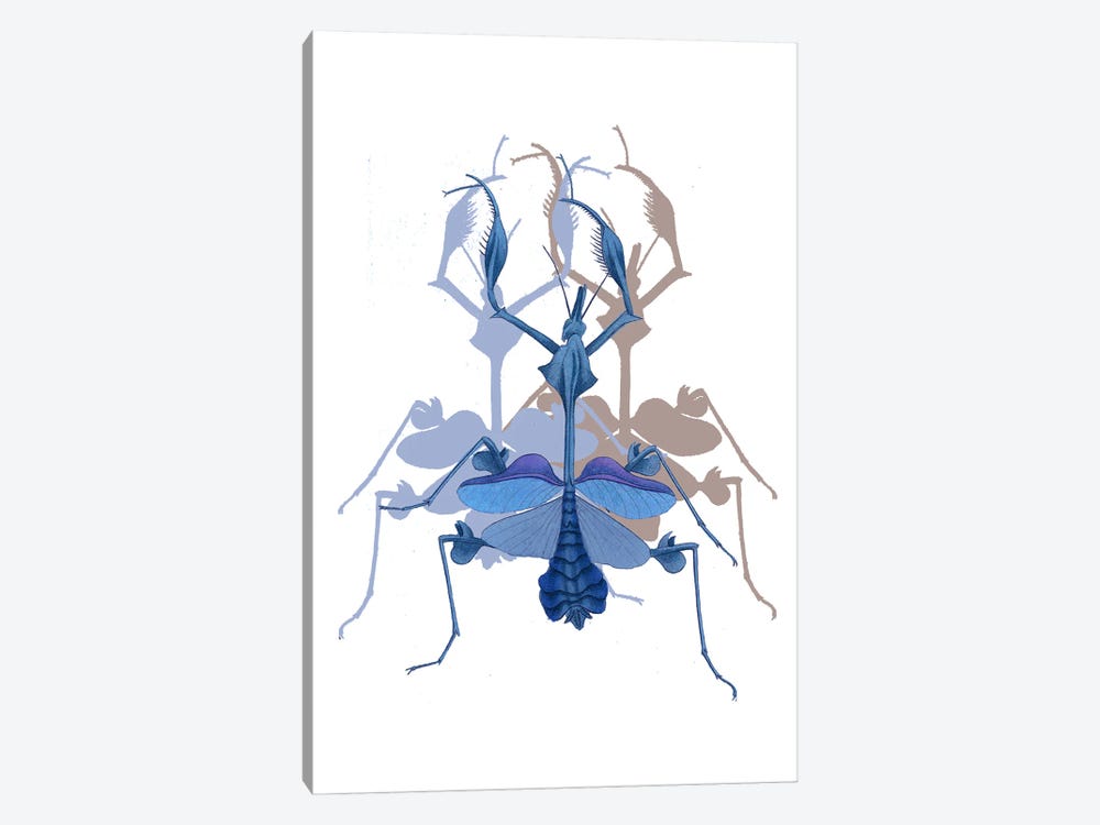 Insect In Blue by RococcoLA 1-piece Canvas Art
