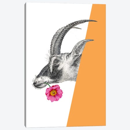 Antelope With Flower Canvas Print #RLA4} by RococcoLA Art Print