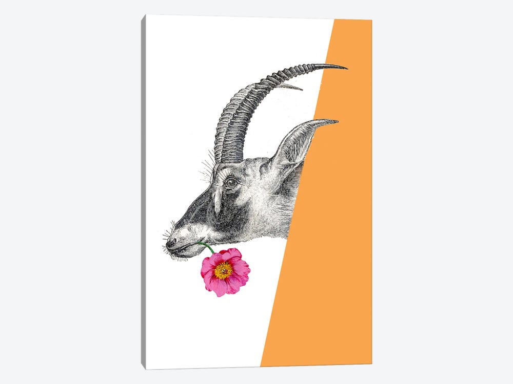 Antelope With Flower by RococcoLA 1-piece Canvas Artwork