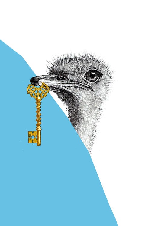 Ostrich With Key