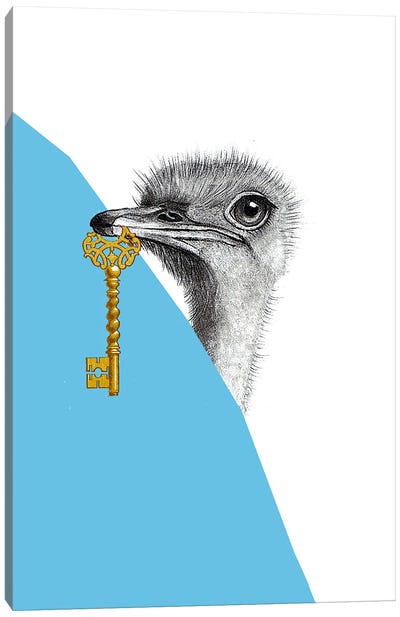Ostrich With Key Canvas Art Print - Key Art