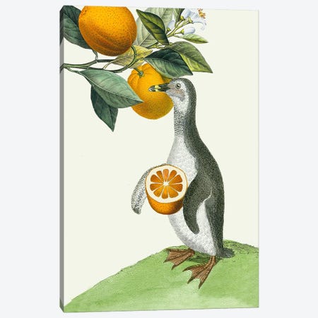 Oranges Canvas Print #RLA53} by RococcoLA Canvas Print