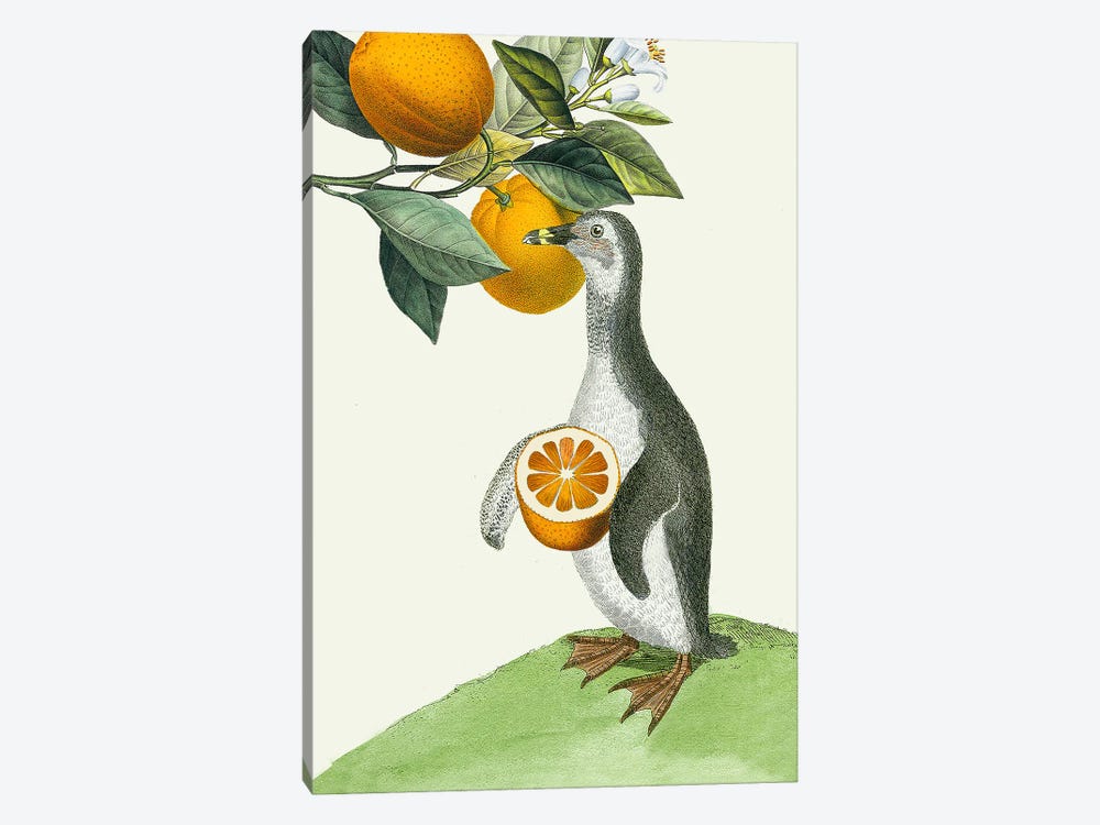 Oranges by RococcoLA 1-piece Canvas Print