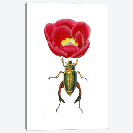 Red Peony And Beautiful Beatle Canvas Print #RLA65} by RococcoLA Art Print