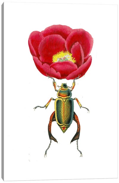 Red Peony And Beautiful Beatle Canvas Art Print - Beetle Art
