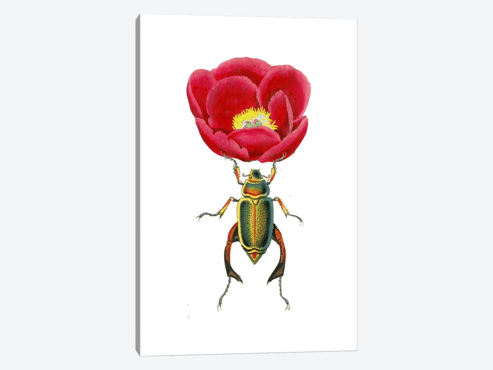 Red Peony And Beautiful Beatle by RococcoLA 1-piece Canvas Artwork