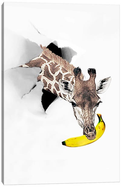 The Banana Canvas Art Print - RococcoLA