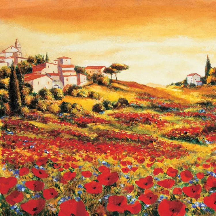 Valley of Poppies