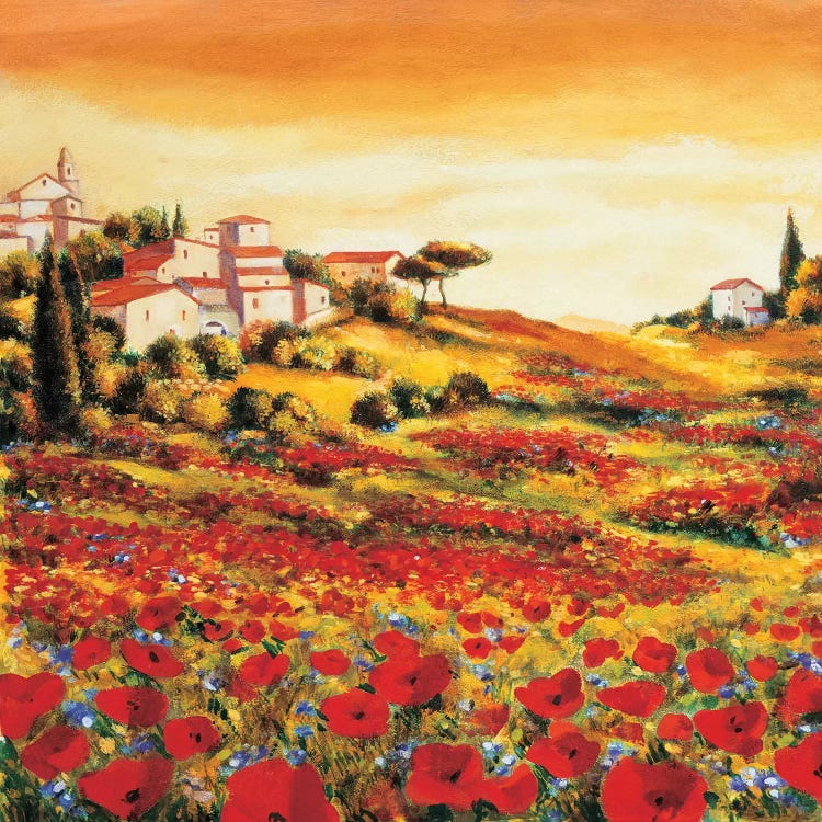 Valley of Poppies by Richard Leblanc wall art