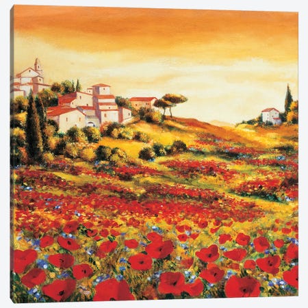 Valley of Poppies Canvas Print #RLB3} by Richard Leblanc Canvas Print