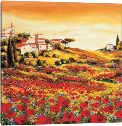 Valley of Poppies Canvas Art Print - Mediterranean Décor