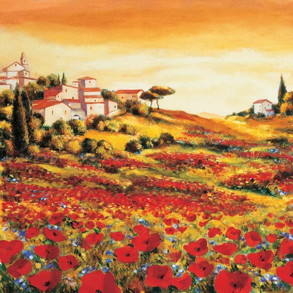 Tuscany: Valley of Poppies by Richard Leblanc