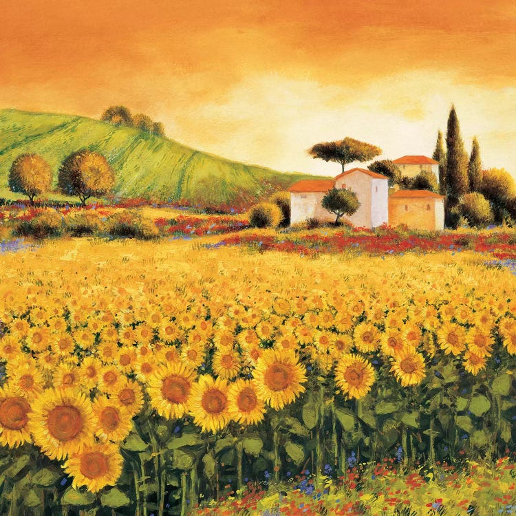 Valley of Sunflowers