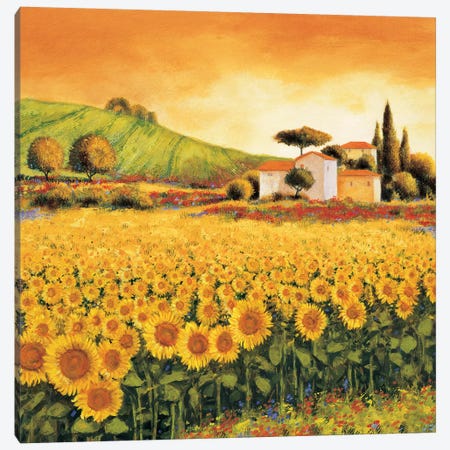 Valley of Sunflowers Canvas Print #RLB4} by Richard Leblanc Canvas Wall Art