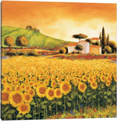 Valley of Sunflowers Canvas Art Print - Tuscany Art
