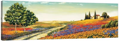 Morning in the Valley Canvas Art Print