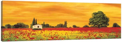 Field of Poppies Canvas Art Print