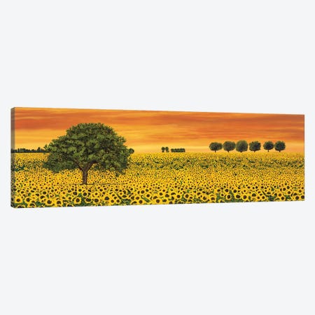 Field of Sunflowers Canvas Print #RLB8} by Richard Leblanc Canvas Art Print