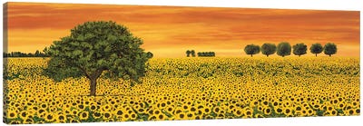 Field of Sunflowers Canvas Art Print - Mediterranean Décor