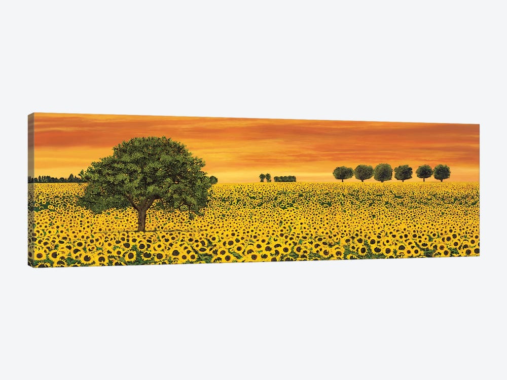 Field of Sunflowers by Richard Leblanc 1-piece Canvas Art Print