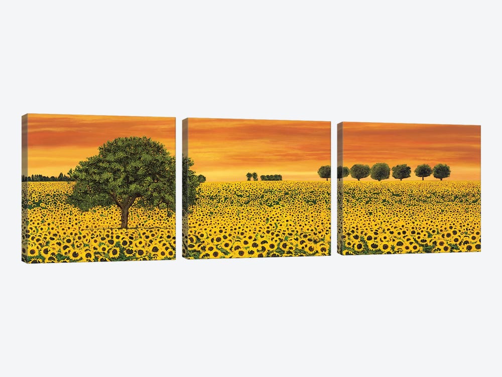 Field of Sunflowers by Richard Leblanc 3-piece Canvas Print