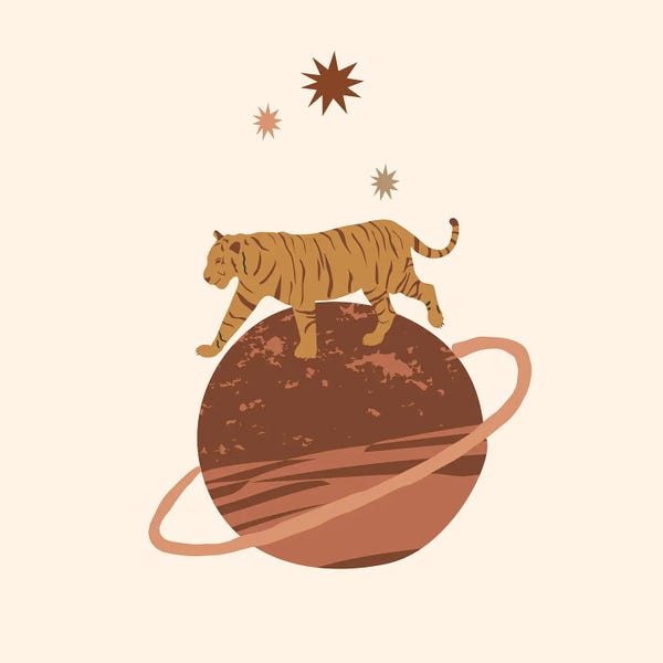 Merle Callesen: The Planet Of The Tiger by Merle Callesen