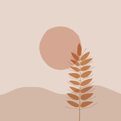 Touch The Sun Abstracts by Merle Callesen canvas print