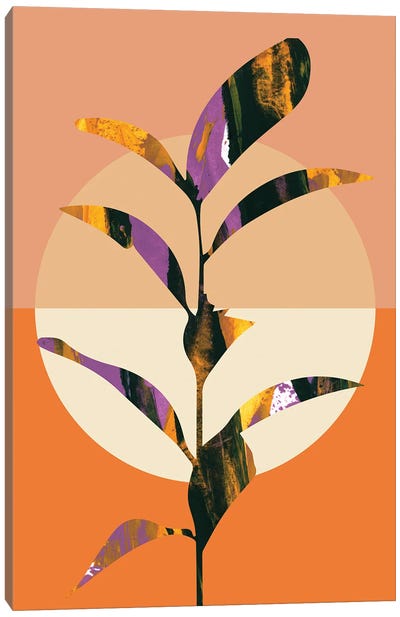 Minimal Abstract Art Botanical Abstracteart Plant Canvas Art Print - Merle Callesen