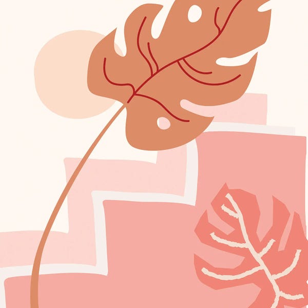 Monsteras: Monstera Meets Sun by Merle Callesen