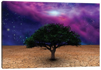 Green Tree In Arid Land With Galactic Disk In Night Sky Canvas Art Print