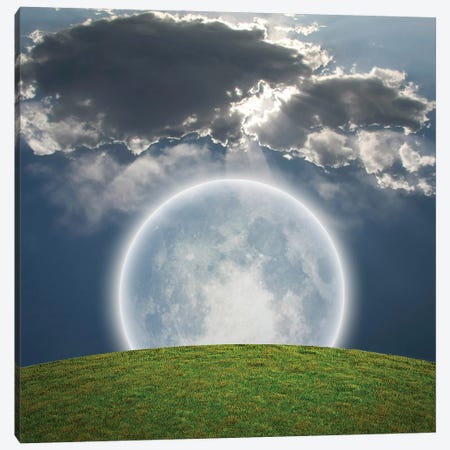 Giant Bright Moon, Green Field Canvas Print #RLF249} by Bruce Rolff Canvas Artwork
