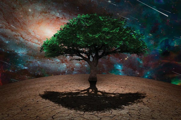 Stocktrek Images: Tree Of Life, Sci-Fi Art by Bruce Rolff