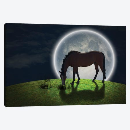 Horse Grazes On Greem Meadow Giant Moon At The Horrizon Canvas Print #RLF50} by Bruce Rolff Canvas Wall Art