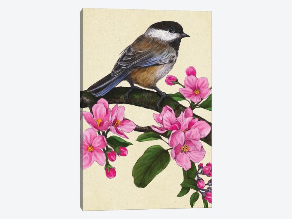 Black Capped Chickadee by Rich Lo 1-piece Canvas Art Print