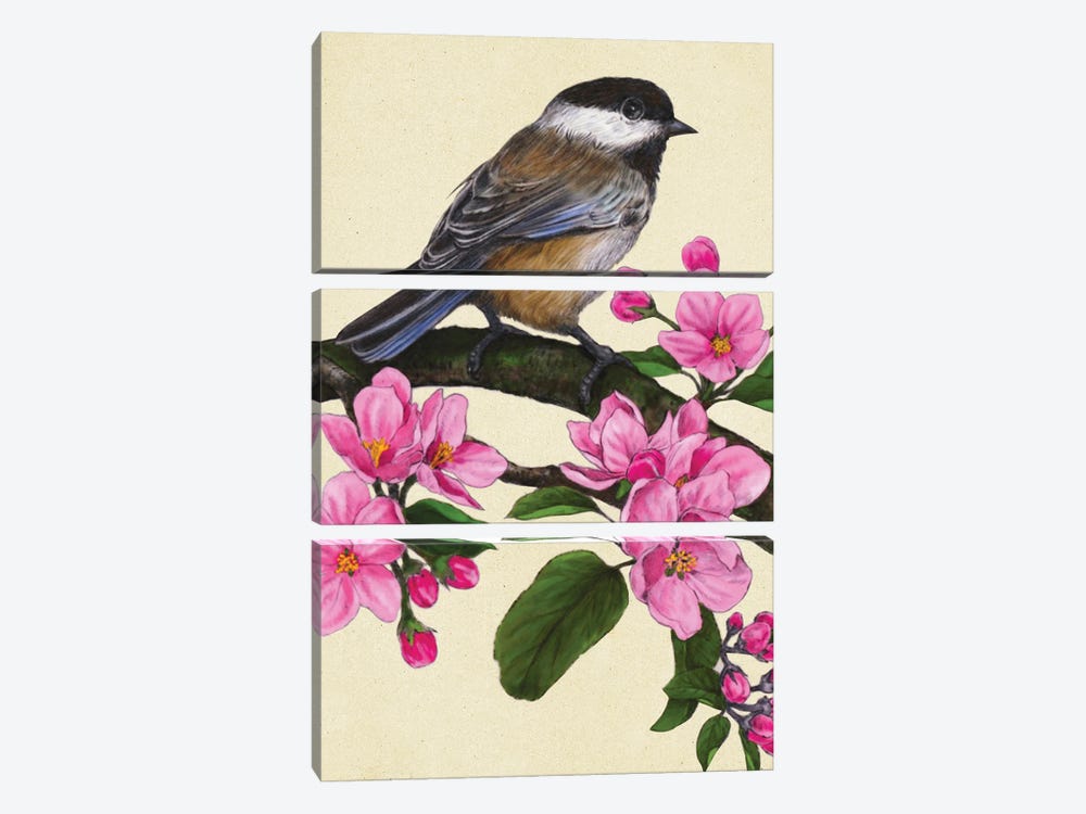 Black Capped Chickadee by Rich Lo 3-piece Canvas Print