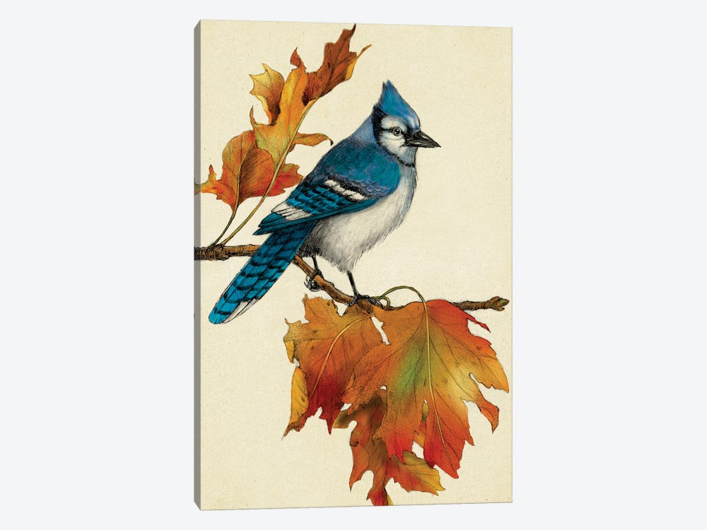Blue Jay by Rich Lo 1-piece Canvas Wall Art