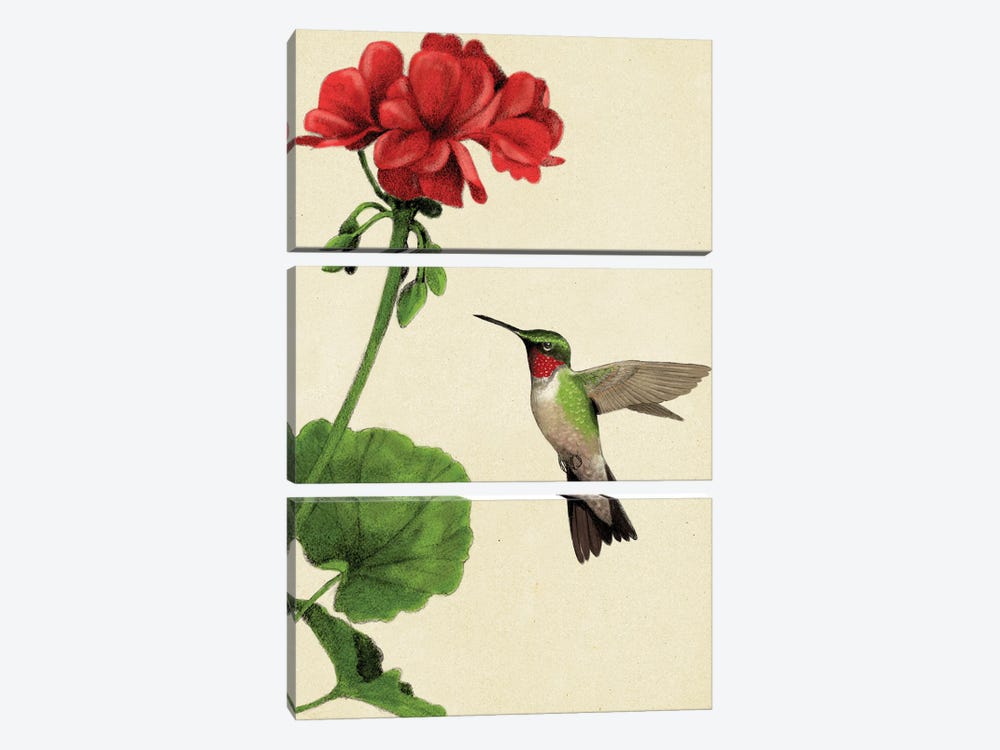 Hummimgbird by Rich Lo 3-piece Canvas Print