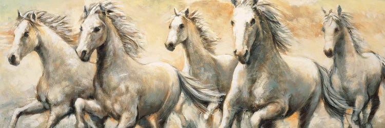 Wild Horses by Ralph Steele wall art