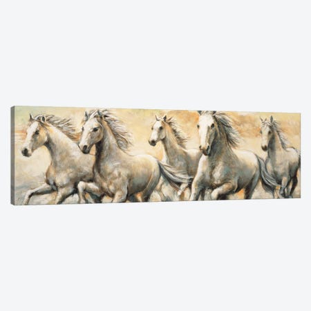 Wild Horses Canvas Print #RLS1} by Ralph Steele Canvas Print